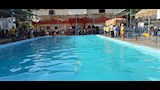 مخالفات داخل حمام سباحة نادي ديروط (7)_7