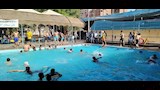 مخالفات داخل حمام سباحة نادي ديروط (11)_11
