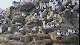 ياسمين صبري تؤدي مناسك الحج