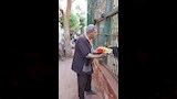 تقديم وجبة ملكية من الفاكهة للقرد كوكو بالفيوم