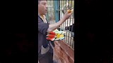 القرد كوكو بحديقة حيوان الفيوم يتناول البرتقال (1)