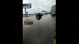 هطول أمطار على الإسكندرية (5)
