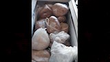 لحوم فاسدة داخل معمل في بورسعيد ١
