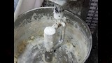 لحوم فاسدة داخل معمل في بورسعيد٤