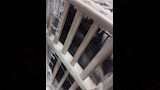 محاولة تهريب كائنات نادرة بمطار القاهرة