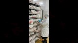 مجازر الدواجن