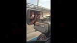 محبي احمد العوضي على الدائري (1)