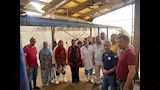 مجزر كلية الزراعة في أبيس 
