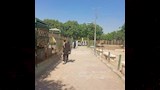 حديقة حيوان بني سويف (7)