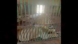 حديقة حيوان بني سويف (6)