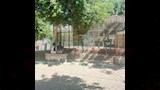 حديقة حيوان بني سويف (8)