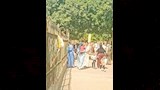 حديقة حيوان بني سويف (9)