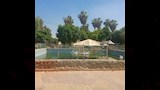 حديقة حيوان بني سويف (5)