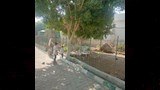 حديقة حيوان بني سويف (3)