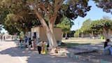 أجواء مبهجة بالحديقة الدولية في ختام إجازة الأضحى بالمنيا (8)