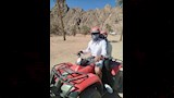 السفاري