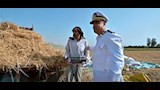 الداخلية توزع مساعدات عينية على الأسر (4)