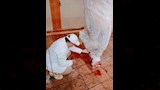 ذبح أكثر من 35 ألف أضحية بالمجازر الحكومية (4)