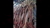 الاضحيات داخل مجازر أسوان