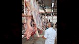 ذبائح الأضحيات بمجازر أسوان