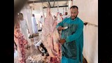 سلخ الأضحية