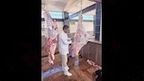 تقطيع الأضحية