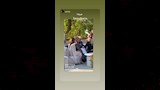 صور من عقد قران ابنتة تامر هجرس  (2)