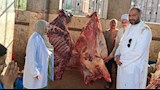 محافظ أسيوط: ذبح 655 أضحية ونجاح منظومة الطب البيطري خلال العيد  