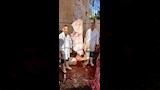 محافظ أسيوط ذبح 655 أضحية بالمجازر الحكومية خلال عيد الأضحى 