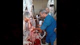 محافظ أسيوط ذبح 655 أضحية بالمجازر الحكومية خلال عيد الأضحى 
