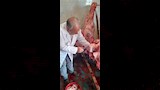محافظ أسيوط ذبح 655 أضحية بالمجازر الحكومية خلال عيد الأضحى 