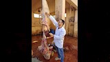 محافظ أسيوط ذبح 655 أضحية بالمجازر الحكومية خلال عيد الأضحى 