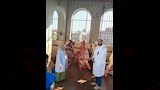 محافظ أسيوط ذبح 655 أضحية بالمجازر الحكومية خلال عيد الأضحى 