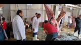 محافظ أسيوط ذبح 655 أضحية بالمجازر الحكومية خلال عيد الأضحى 