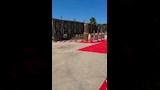 سرادق عزاء والد حمو بيكا في الإسكندرية (6)