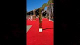 سرادق عزاء والد حمو بيكا في الإسكندرية (5)
