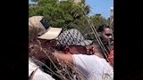 حمو بيكا ينهار أمام قبر والده في الإسكندرية (2)