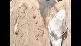 الاسمدة المضبوطة