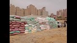 الشون تستقبل القمح