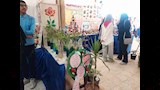 ركن الزراعة 