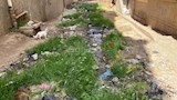 مشهد من الصرف الصحي في شوارع فم الصعيدي