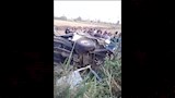 حادث مروي (4)