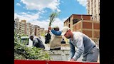 100 مليون شجرة