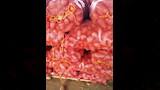 صرخة مزارعي البطاطس بالدقهلية: ضعف التقاوى "يضرب" الإنتاجية ويهدد تعاقدات التصدير -صور