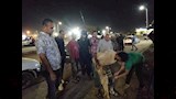حملات تطعيم الكلاب  (1)