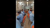 مديرية العمل تطلق دورة تدريبية مجانية في التفصيل والخياطة بالعربة المتنقلة بقرية بني رافع بمنفلوط 