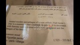 رسومات ونقوش تمثل كتاب املوتي وطريقة البعث لدي المصري القديم 