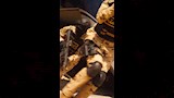 مشاهد الأكشين في فيلم 7 Dogs (3)