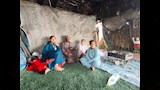   مأساة صيادي الشرقية مع زريعة تقتلها أعمال التطهير (7)