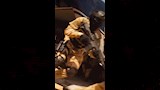 مشاهد الأكشين في فيلم 7 Dogs (4)